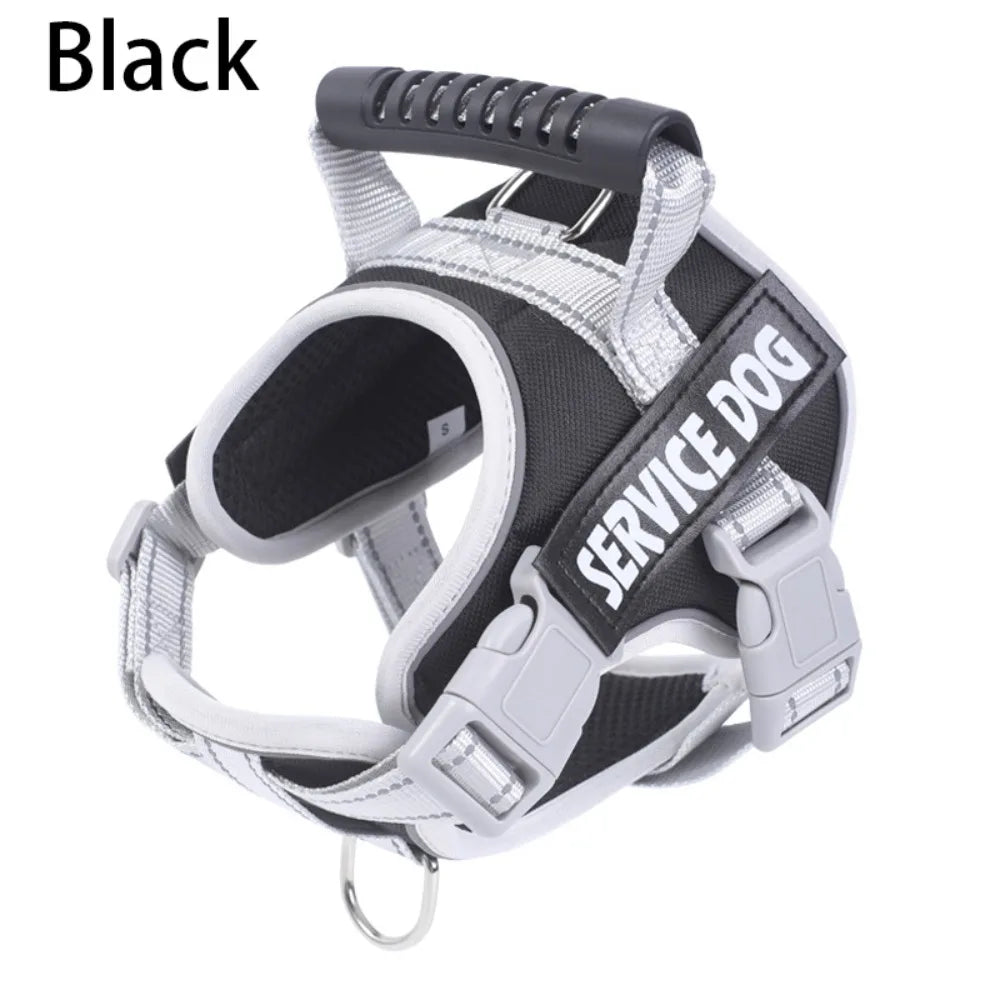 S1ab43f5380d743c6998ee02b0d7e45d6C