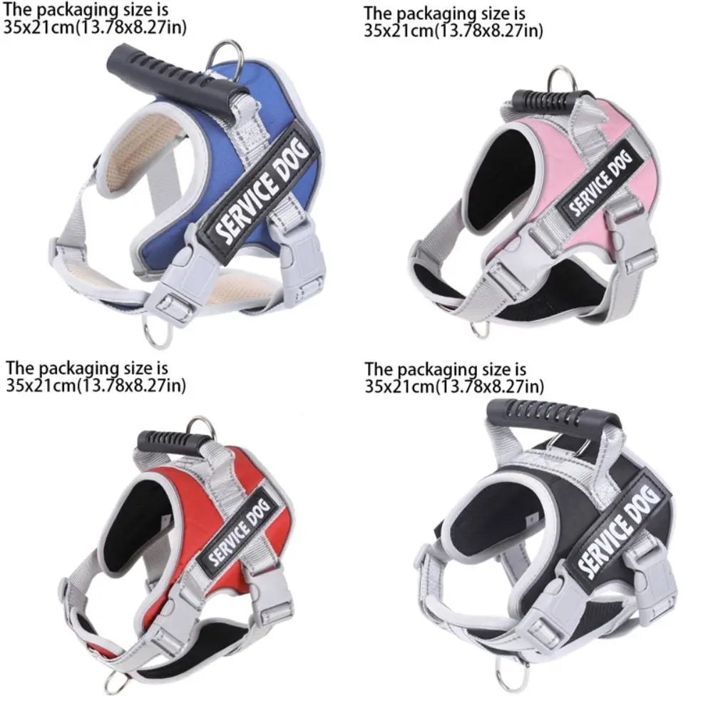 S76d6b68564fa4dbfa7c05fac356ce9bcq