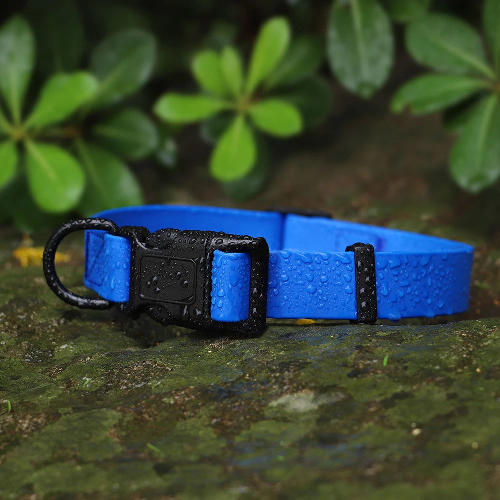 S844f5257228d4474838dac98b25f9563Q