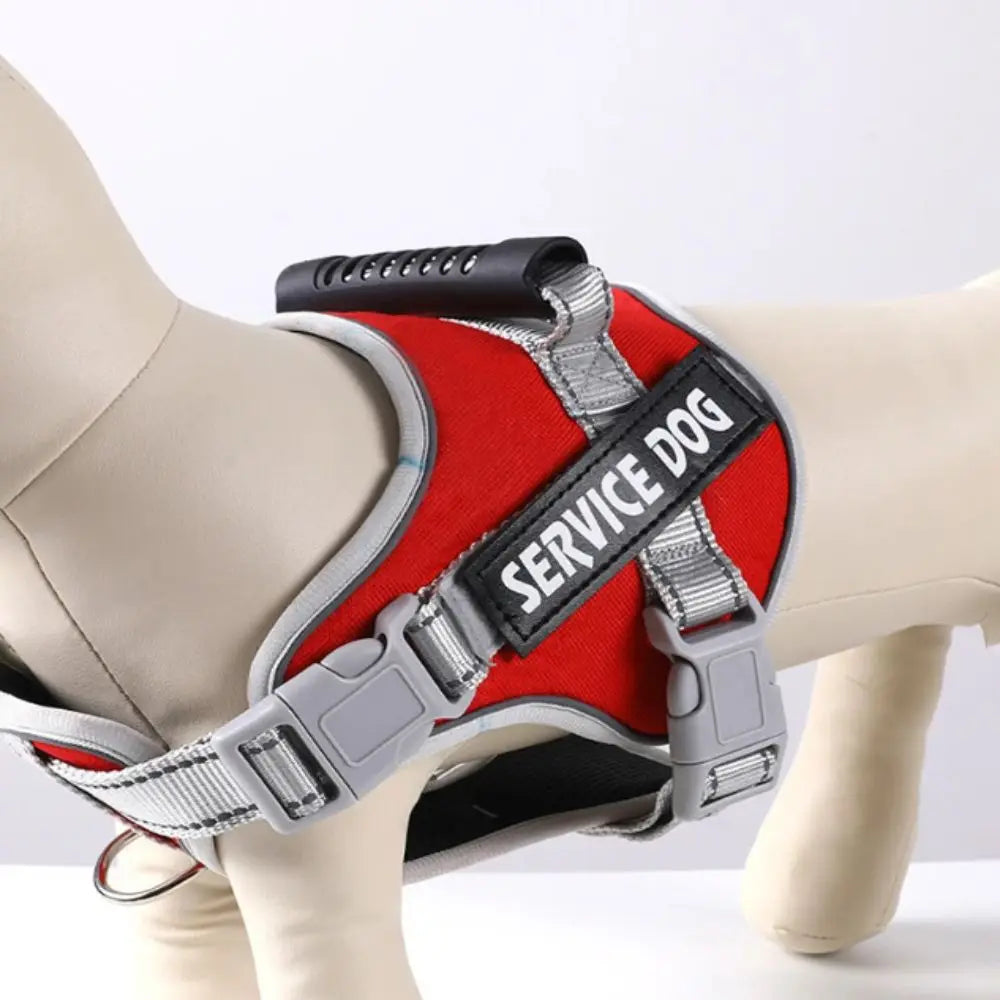 S9297aa3c73d3494aad0cd2644c8e8e9fd