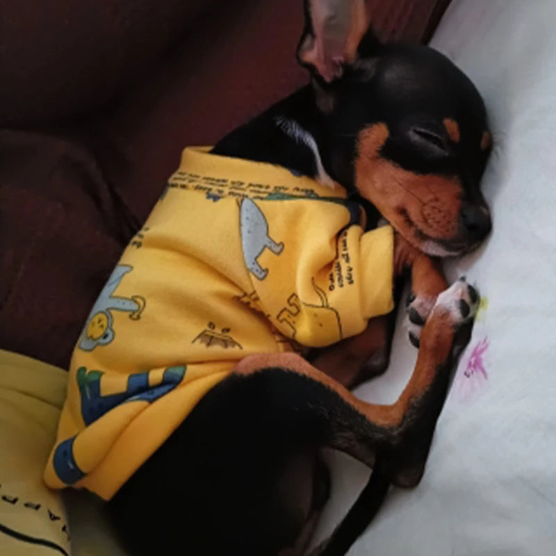 Sd444b70bf8af4b6db8900ba8237b43a2Q